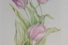 Waiting Spring