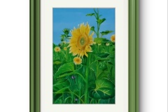 Il sole di Rachele