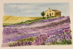 Provenza